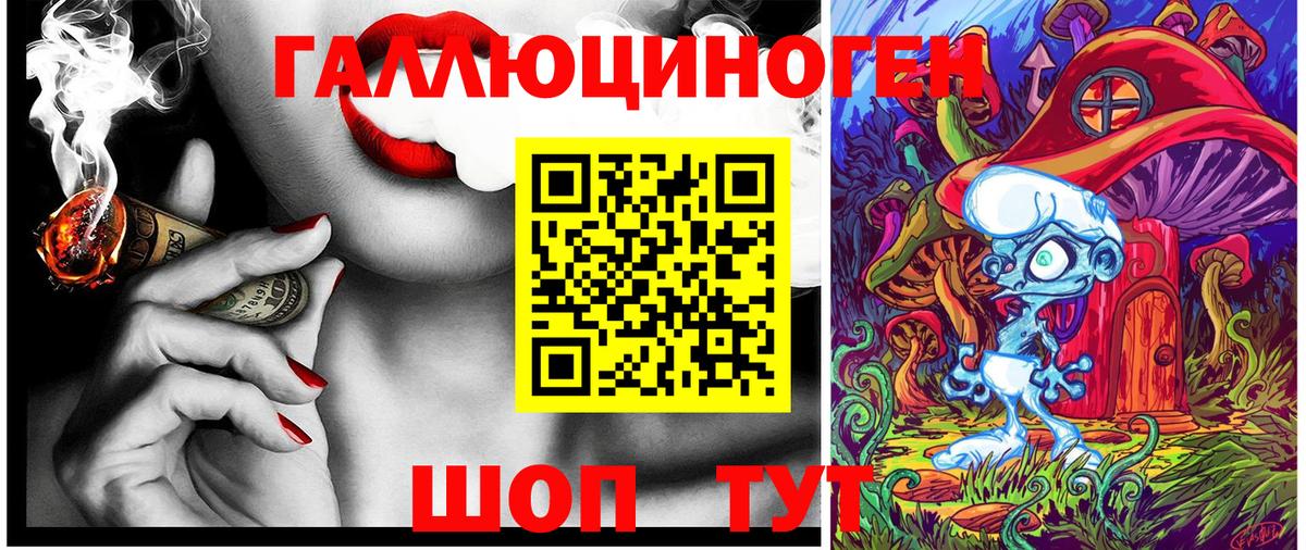 Псилоцибиновые грибы Psilocybine cubensis Реутов