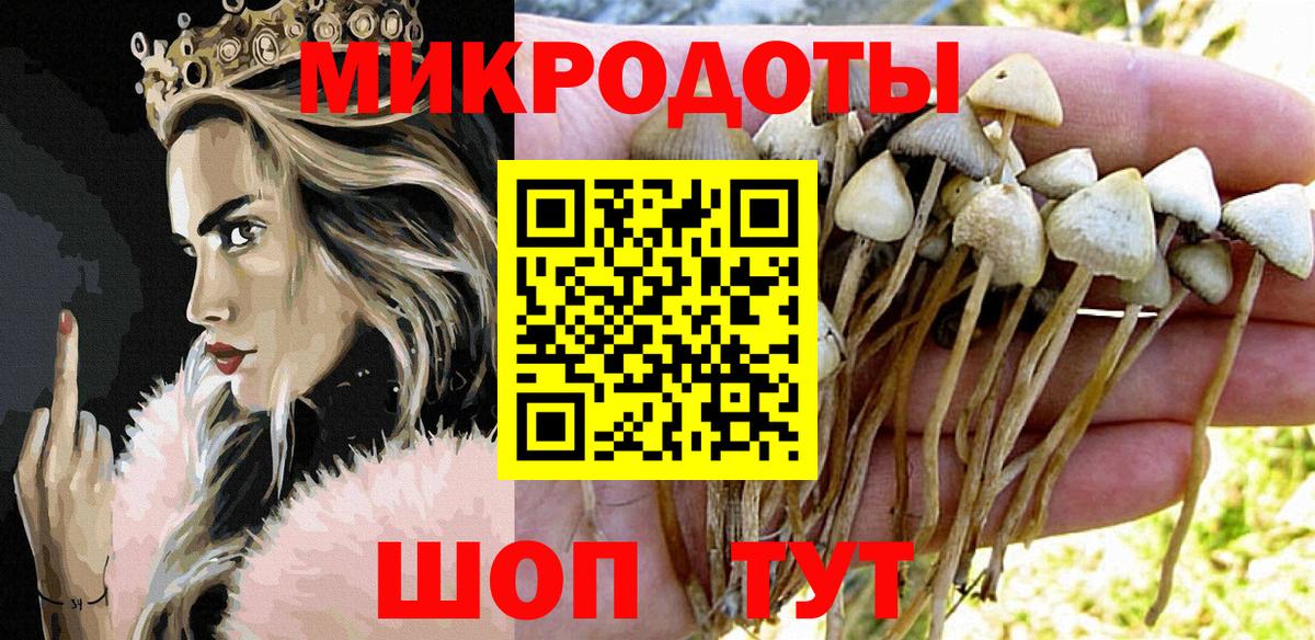 Реутов  наркошоп  Вход с VPN  Псилоцибиновые грибы Psilocybine cubensis 